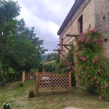 Agriturismo Colloreto Morano Calabro Kültér fotó