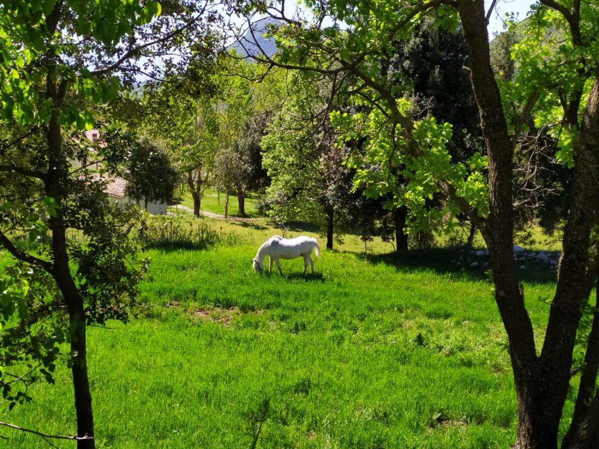 Agriturismo Colloreto Morano Calabro Kültér fotó