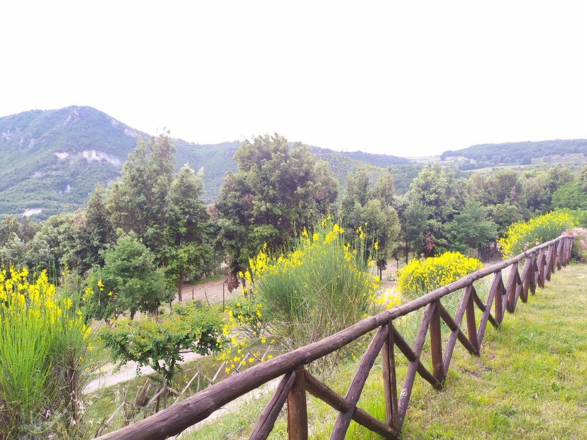 Agriturismo Colloreto Morano Calabro Kültér fotó
