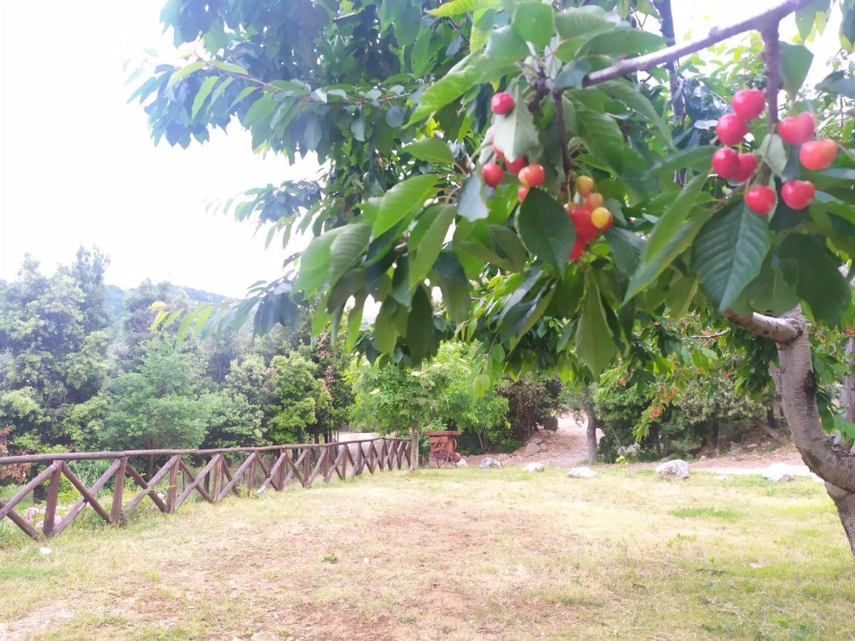 Agriturismo Colloreto Morano Calabro Kültér fotó